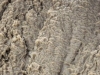 1_e9a0182