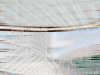 4E9A1042BB